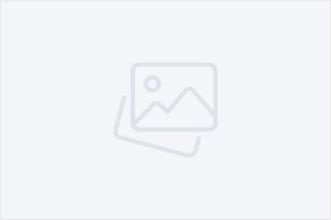 Puerta trasera izquierda